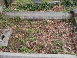 image of grave number 340686